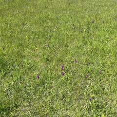 23-05-21 12-31-38 5516